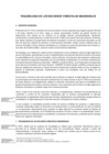 Vista preliminar de documento Version_actualizada_DT_Trazabilidad_con_vb