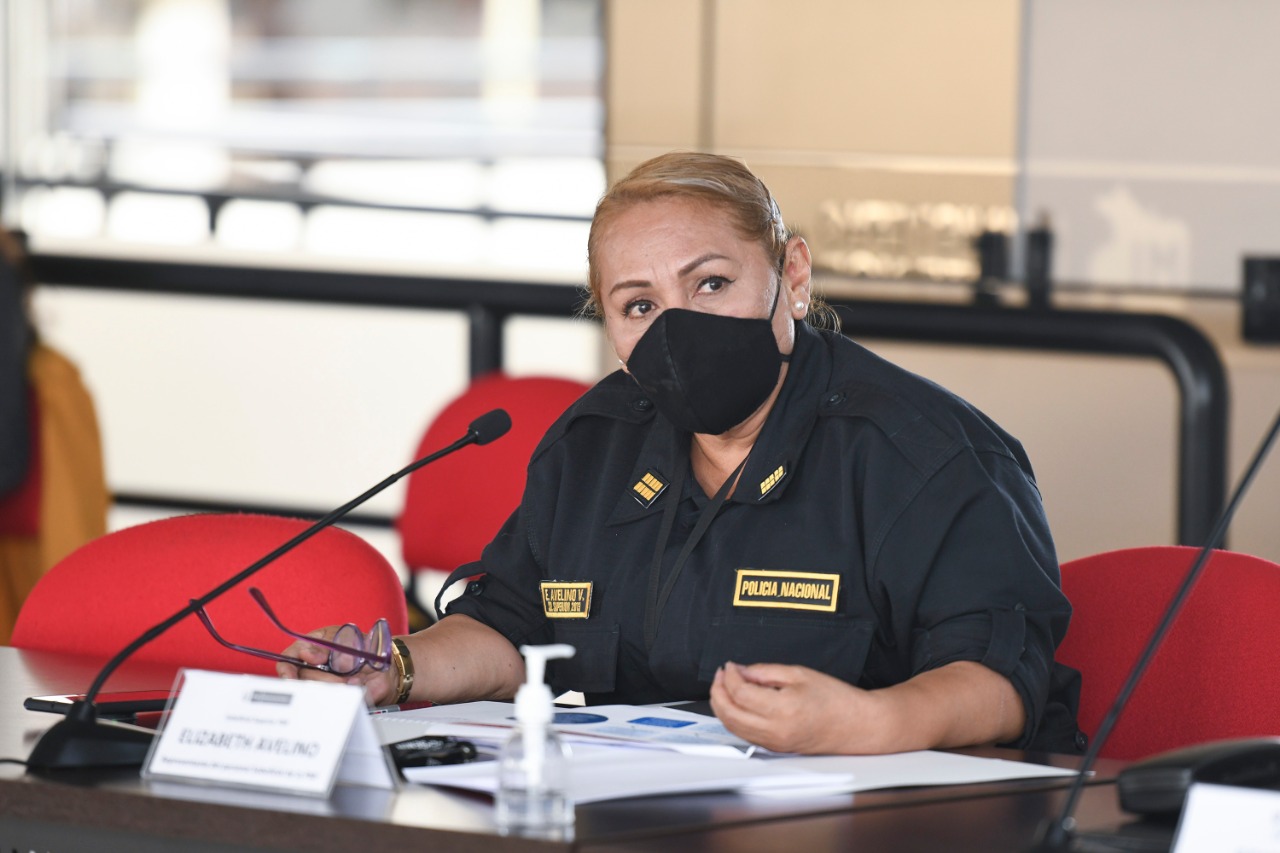 Grupo de Trabajo inicia diálogo con organizaciones de la sociedad civil sobre proceso de fortalecimiento y modernización de la PNP