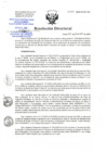 Vista preliminar de documento RD-335-12-2020-PDF.pdf