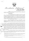 Vista preliminar de documento R.J N° 324-2011-INDECI