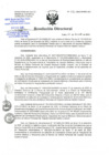 Vista preliminar de documento RD-336-12-2020.pdf