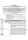 Vista preliminar de documento  Matriz de comentarios 