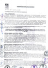 Vista preliminar de documento ORDENANZA MUNICIPAL Nro299-2020-MDSB.pdf