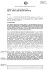 Vista preliminar de documento RDE-000142-2020-DE