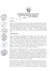 Vista preliminar de documento RER_300_2017.pdf
