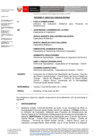 Vista preliminar de documento Informe_00003_2021_SENACE_PE_DEIN.pdf