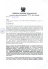 Vista preliminar de documento RER_271_2017.pdf