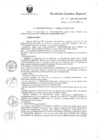 Vista preliminar de documento R.E.R. Nro 446-2020-GR-GR PUNO.pdf