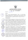 Vista preliminar de documento RER_260_2017.pdf