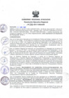 Vista preliminar de documento RER_236_2017.pdf