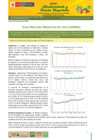 Vista preliminar de documento Boletín de Abastecimiento y Precios Mayoristas GMML y MM Nº 2 -22/12/20