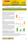 Vista preliminar de documento Boletín de Abastecimiento y Precios Mayoristas GMML y MM Nº 2 -23/12/20