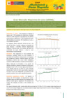 Vista preliminar de documento Boletín de Abastecimiento y Precios Mayoristas GMML y MM Nº 2 -24/12/20
