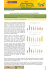 Vista preliminar de documento Boletín de Abastecimiento y Precios Mayoristas GMML y MM Nº 2 -28/12/20