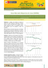 Vista preliminar de documento Boletín de Abastecimiento y Precios Mayoristas GMML y MM Nº 2 -29/12/20