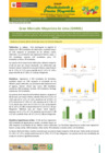 Vista preliminar de documento Boletín de Abastecimiento y Precios Mayoristas GMML y MM Nº 2 -30/12/20