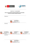 Vista preliminar de documento DIRECTIVA-005-2020-SANIPES