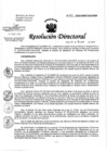 Vista preliminar de documento RD-013-01-2020.pdf