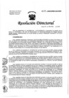 Vista preliminar de documento RD-019-01-2020.pdf