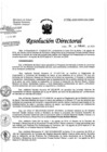 Vista preliminar de documento RD-026-02-2020.pdf
