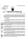 Vista preliminar de documento RD-029-02-2020.pdf