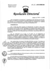 Vista preliminar de documento RD-037-02-2020.pdf