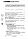 Vista preliminar de documento AE-029-2020.pdf