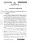 Vista preliminar de documento ACUERDO REGIONAL Nro. 133-2020-GRP-CRP