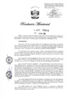 Vista preliminar de documento 1412-2020-IN (Pasar con fecha 01ENE2021 AL Sr. CORONEL DE SERVICIOS de la PNP LUISA EUSEBIA MAMANI ARTEAGA, de la situación policial de actividad a la situación de retiro).