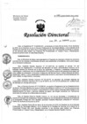 Vista preliminar de documento RD-040-02-2020.pdf