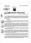 Vista preliminar de documento RD-60-03-2020.pdf