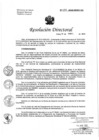 Vista preliminar de documento RD-077-04-2020.pdf