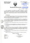 Vista preliminar de documento RD-085-04-2020.pdf