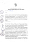 Vista preliminar de documento RER_207_2017.pdf