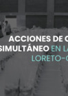 Vista preliminar de documento Presentación Acciones de control en la región Loreto.pdf