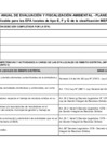 Vista preliminar de documento Formato Planefa Simplificado