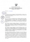 Vista preliminar de documento RER_196_2017.pdf