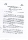 Vista preliminar de documento 2010