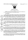 Vista preliminar de documento RJ-050-2019