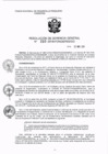 Vista preliminar de documento RGG_2018210