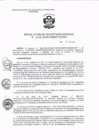 Vista preliminar de documento RSG_2018106