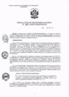 Vista preliminar de documento RSG_2018067