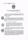 Vista preliminar de documento RSG_2018059