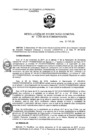Vista preliminar de documento RSG_2018039