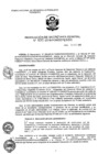 Vista preliminar de documento RSG_2018032