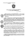 Vista preliminar de documento RSG_2018011
