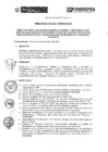 Vista preliminar de documento directiva_n_007_2017_20171130_185533