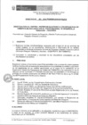 Vista preliminar de documento directiva_digeprofin_20160816_092004