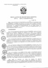 Vista preliminar de documento RSG_201534