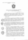 Vista preliminar de documento RSG_2015098